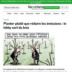 13 mars 2021 Planter plutôt que réduire les émissions : le lobby sort du bois