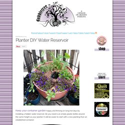 Planter DIY Water Resevoir (Dabbletree)