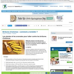 Les plantes et les aromates pour lutter contre les brûlures d’estomac