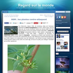 OGM : les plantes contre-attaquent