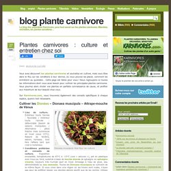 Plantes carnivores : culture et entretien chez soi