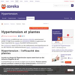 Plantes contre l’hypertension - Ooreka