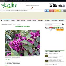 L'encyclopédie des plantes décoratives