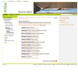 Plantes envahissantes: Canton de Vaud : site officiel