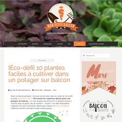 {Éco-défi} 10 plantes faciles à cultiver dans un potager sur balcon - Mon Petit Balcon