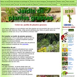 Créer un jardin de plantes grasses: jardin de succulentes