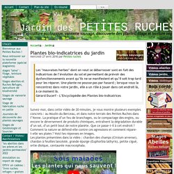 Plantes bio-indicatrices du jardin - [jardin des PETITES RUCHES]