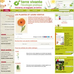 Plantes médicinales