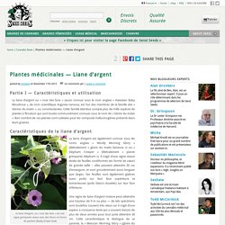 Plantes médicinales — Liane d'argent