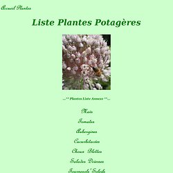 Plantes potagères