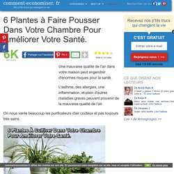 6 Plantes à Faire Pousser Dans Votre Chambre Pour Améliorer Votre Santé.