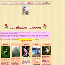 plantes toxiques