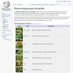 Plantes toxiques pour les équidés