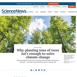 SCIENCENEWS 09/07/21 Why planting tons of trees isn’t enough to solve climate change