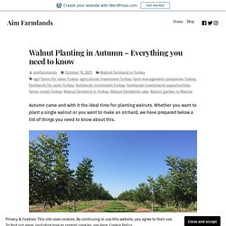 Walnut Planting in Autumn – Everything you need to know – Aim Farmlands