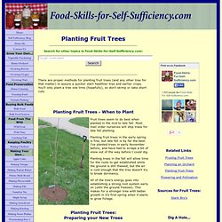 Planting Fruit Trees