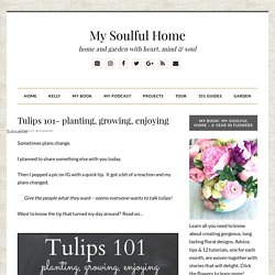 Tulips 101 - planting, growing & enjoying.