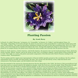 Planting Passion