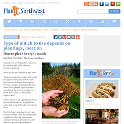 Mulch Type To Use Depends On Plantings, Location