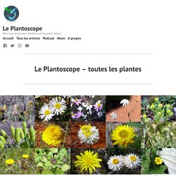 Le Plantoscope – toutes les plantes – Le Plantoscope