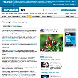 Plants may be able to 'hear' others - life - 08 June 2012