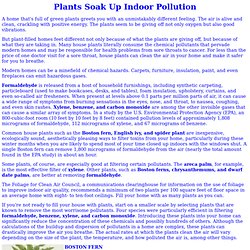 Plants Absorb Indoor Pollution