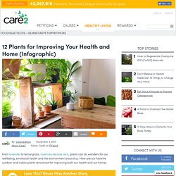 12 Plants For Improving Your Health And Home