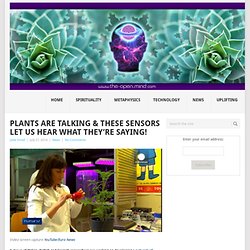 Plants Are Talking & These Sensors Let Us Hear What They’re Saying!