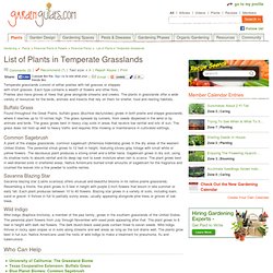 List of Plants in Temperate Grasslands