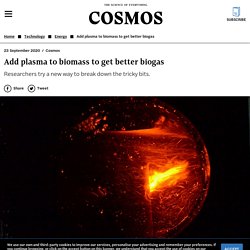 Add plasma to biomass to get better biogas - Cosmos Magazine
