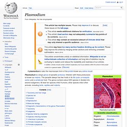 Plasmodium