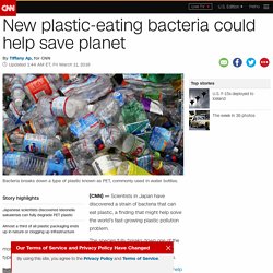 New plastic-eating bacteria could help save planet