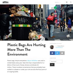 Plastic Bags Are Hurting More Than The Environment