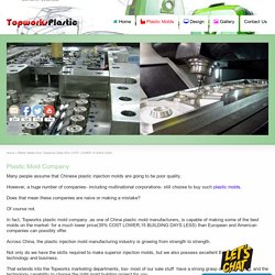Plastic Molds from Topworks Mold-35% COST LOWER,15 DAYS LESS