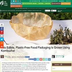 This Edible, Plastic-Free Food Packaging Is Grown Using Kombucha! - One Green Planet