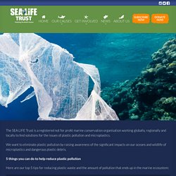 Plastic Pollution - Sea Life Trust