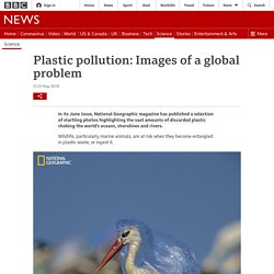 Plastic pollution: Images of a global problem