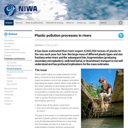 Plastic pollution processes in rivers