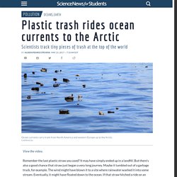 Plastic trash rides ocean currents to the Arctic