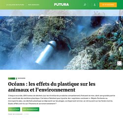 Océans : les effets du plastique sur les animaux et l'environnement