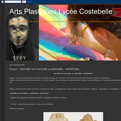 Arts Plastiques Lycée Costebelle: Fiche 5 : NATURE VS CULTURE ou NATUREL / ARTIFICIEL