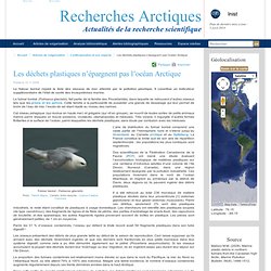 Recherches Polaires - Actualités de la recherche scientifique aux pôles - Les déchets plastiques n’épargnent pas l’océan Arctique