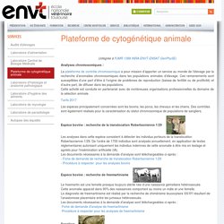 Plateforme de cytogénétique animale