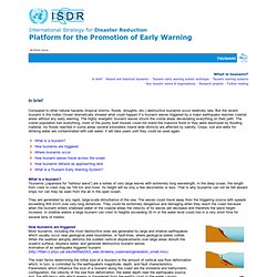 ISDR: Platform for the Promotion of Early Warning