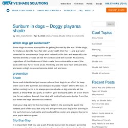 Sunburn in dogs - Doggy playarea shade