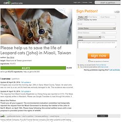 Please help us to save the life of Leopard cats (Joho) in Miaoli, Taiwan