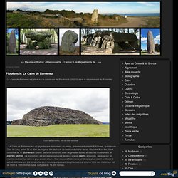 Plouézoc'h: Le Cairn de Barnenez - Blog sur les Menhirs, Dolmens et Mégalithes