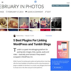 7 Ways to Link WordPress and Tumblr Blogs