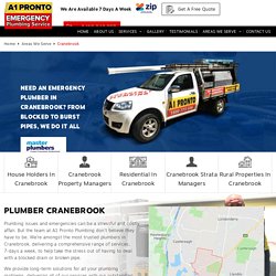 Plumber Cranebrook - 2749 NSW