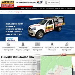 Plumber Springwood - 2777 NSW